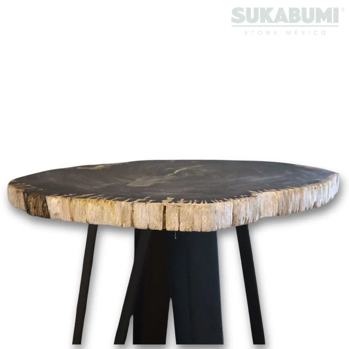 <b>Mesa de</b> Madera Petrificada Chica